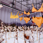 Sustainable Fabrics: The Future of Fashion Materials